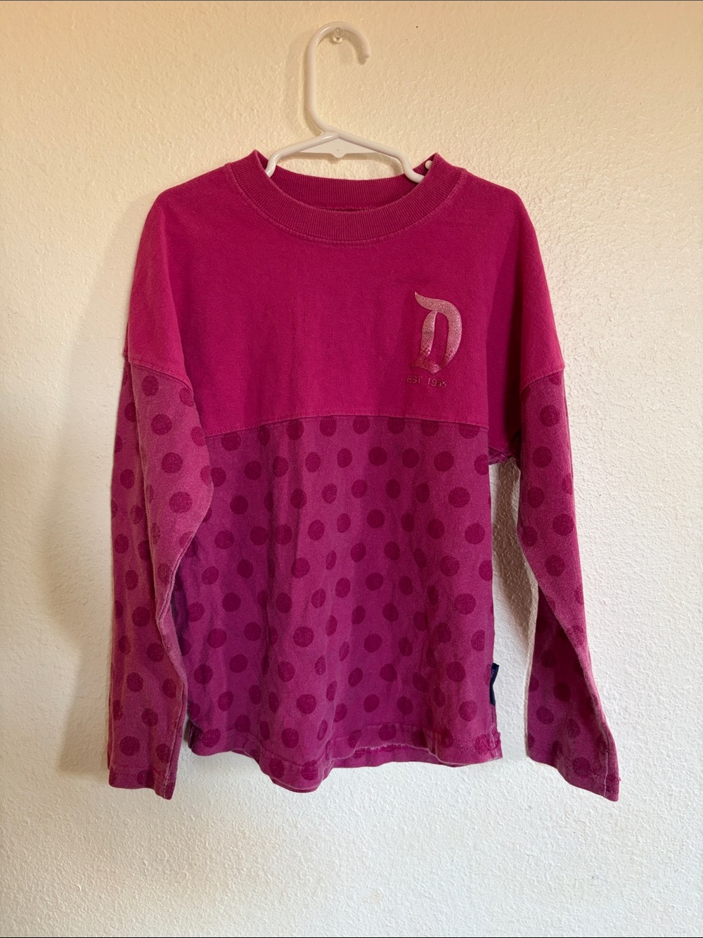 Disney spirit jersey